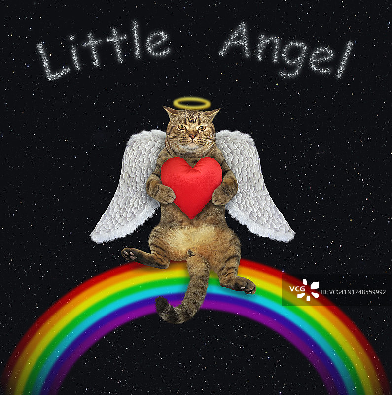 彩虹上的猫天使 3图片素材