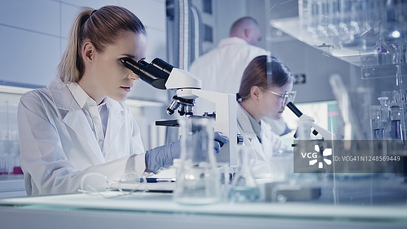 实验室团队使用显微镜研究病原体样本图片素材