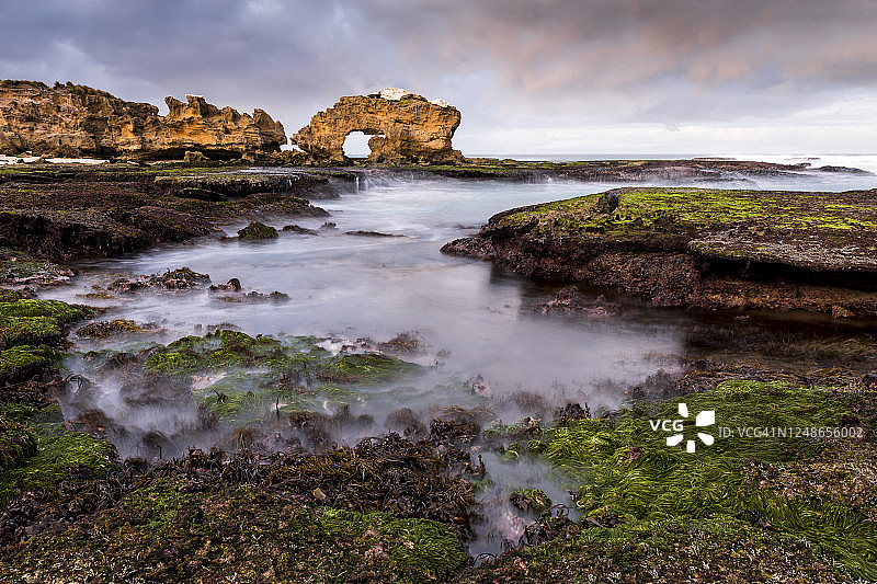 布里奇沃特湾的海草图片素材