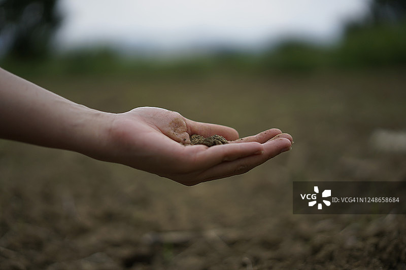 手持干燥土壤，背景为龟裂的土壤表面图片素材