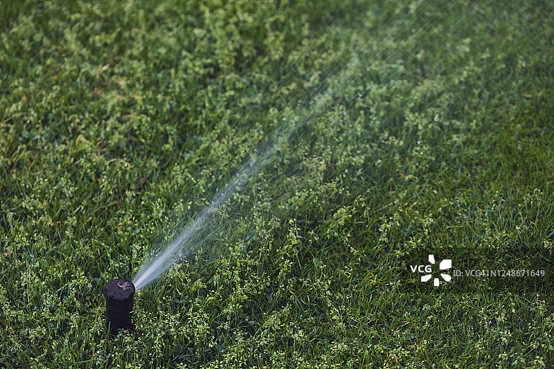 弹出式洒水喷头的特写图片素材