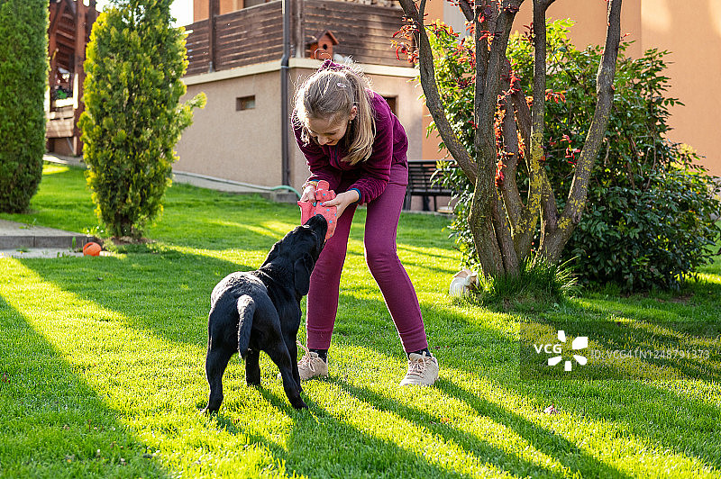 女孩在后院和狗玩耍图片素材
