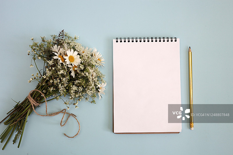 金色铅笔和雏菊花背景上的空白便签本图片素材