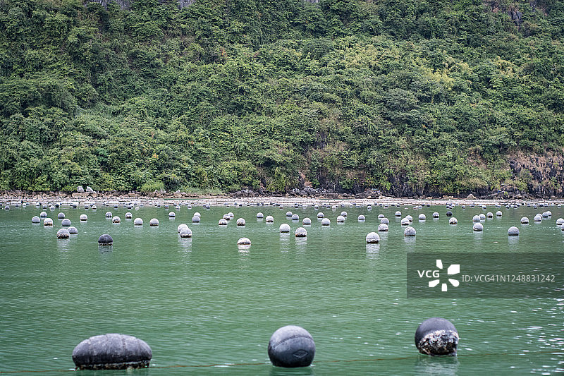 越南下龙湾的珍珠养殖浮标图片素材