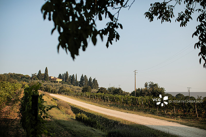 在意大利托斯卡纳葡萄园观光图片素材