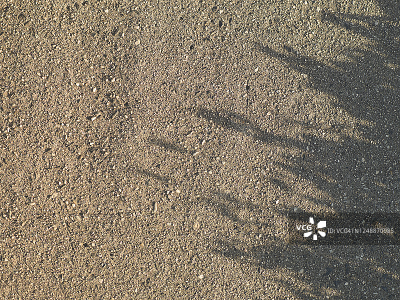 午后阳光长影图片素材