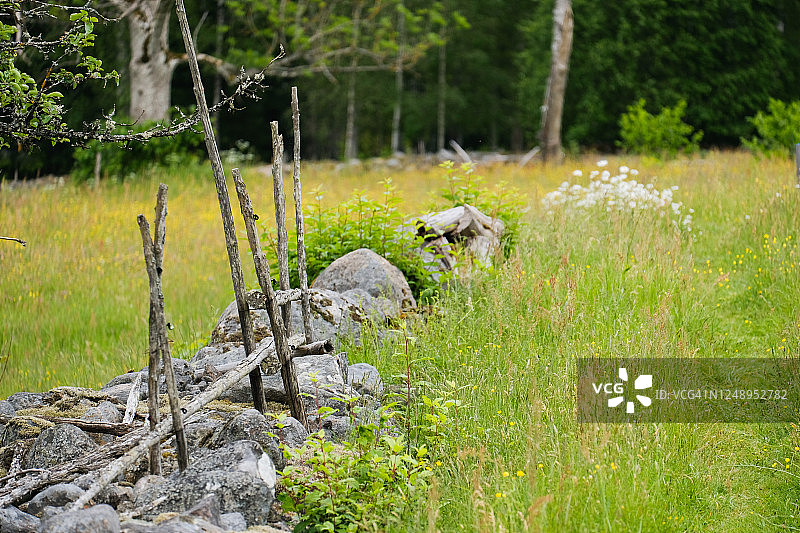 夏日草地上的石墙图片素材