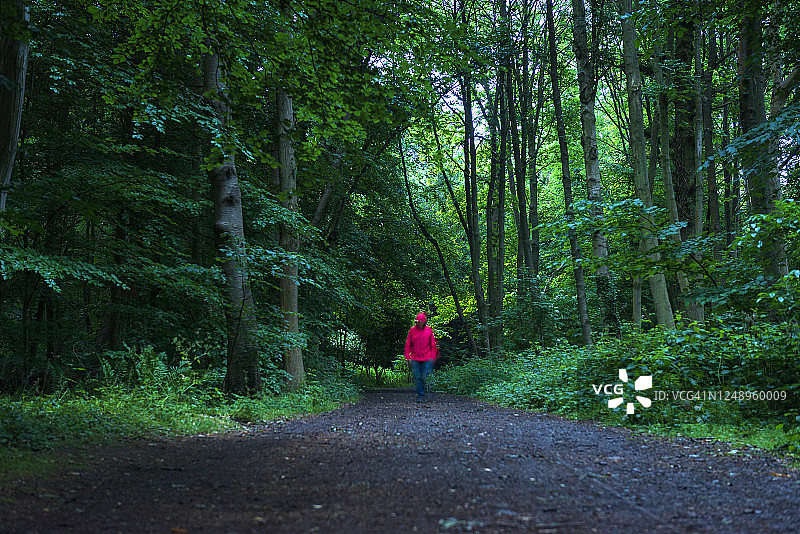 森林小径上站立着的神秘人物图片素材