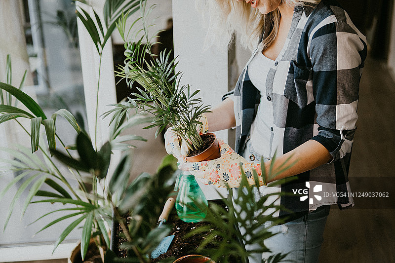 在家享受园艺的休闲时光图片素材
