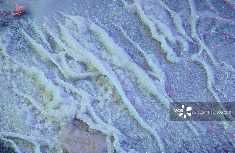 变质食物上的霉菌图片素材