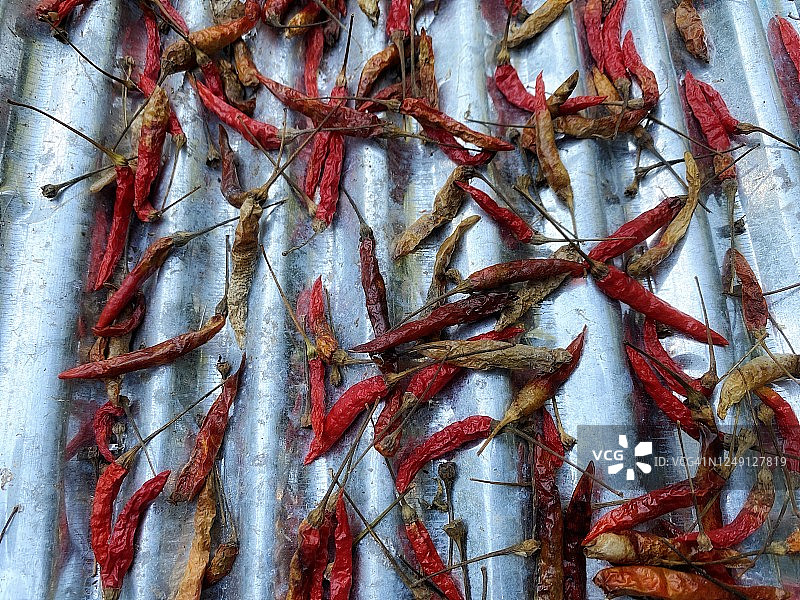 热带红辣椒在锌板上晾晒图片素材