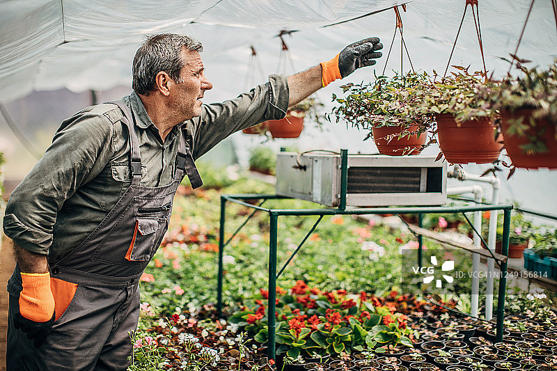 花卉农场里劳作的男人图片素材