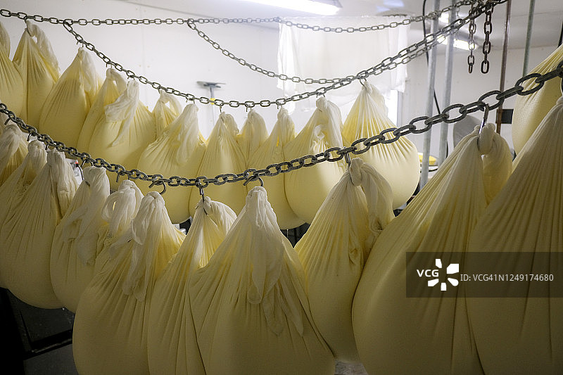 新鲜奶酪生产图片素材