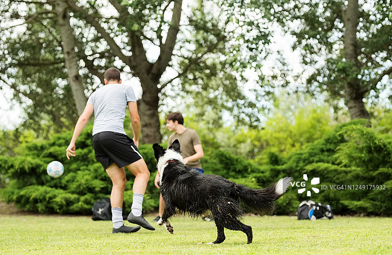 小狗想加入游戏图片素材