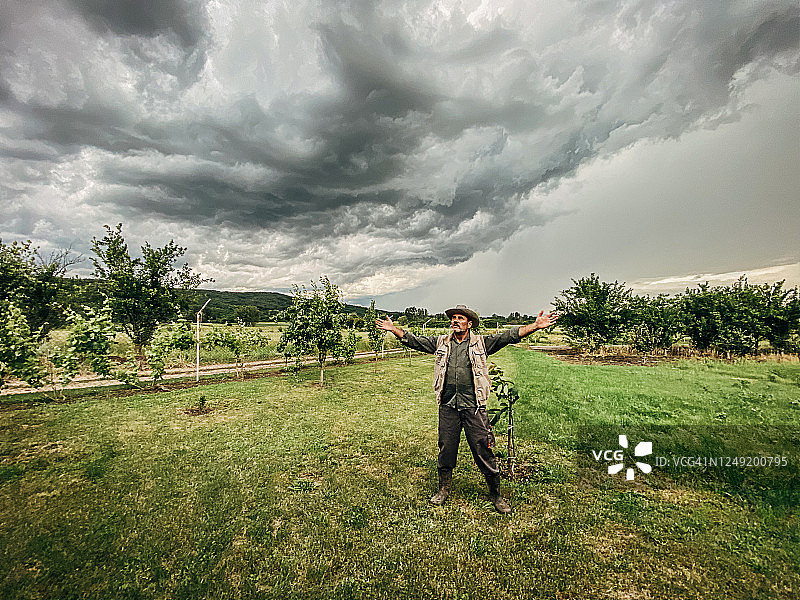 站在田野里，希望下雨的年长农民图片素材