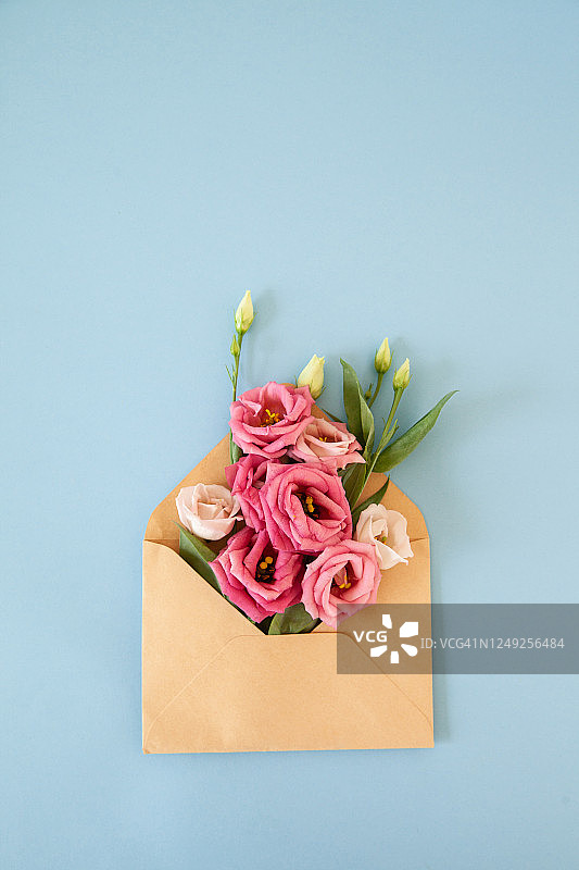 浅蓝色背景纸信封中的粉色和白色玫瑰图片素材