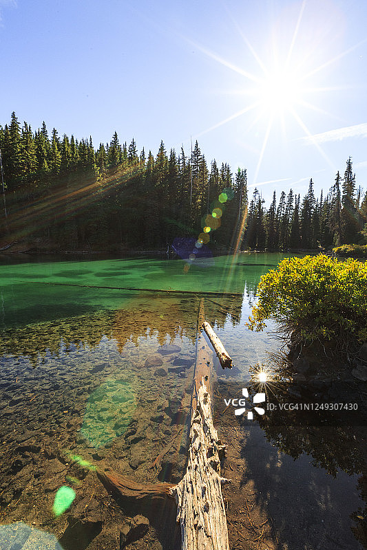 通往高山湖泊和阳光的木头景观图片素材