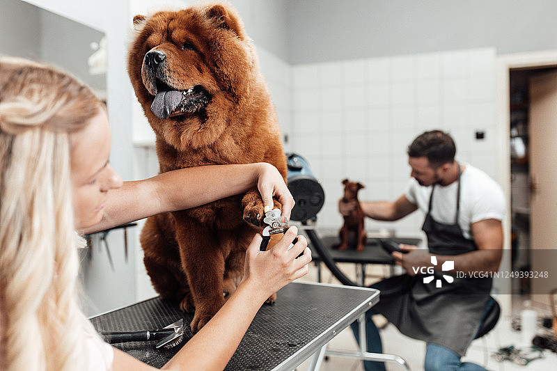 美容沙龙图片素材