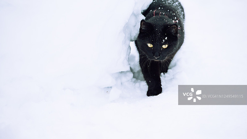 雪地车图片素材