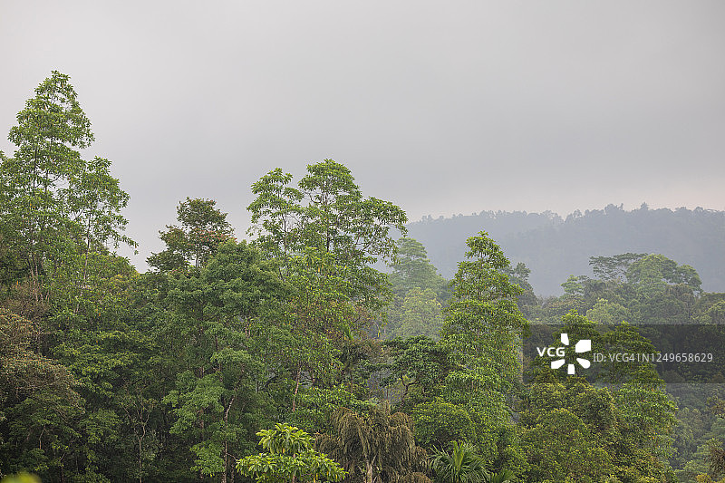 斯里兰卡风光图片素材