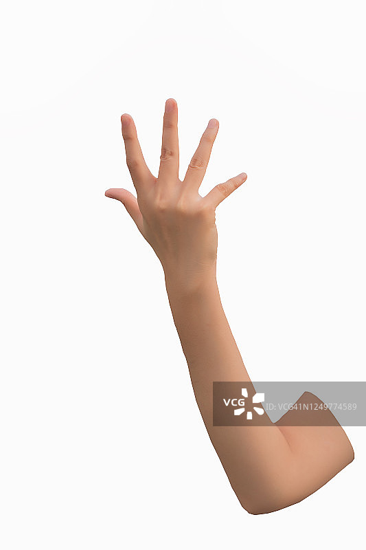 白色背景上女人的手特写图片素材