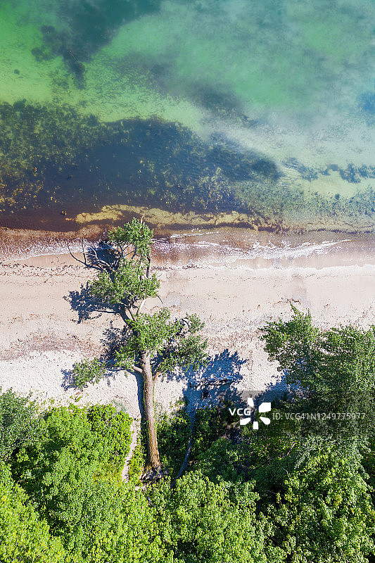 水平增长图片素材