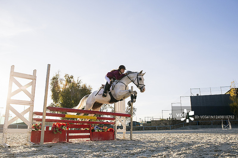 在晴朗的天空下，骑师在训练场上骑着白马跨越障碍图片素材