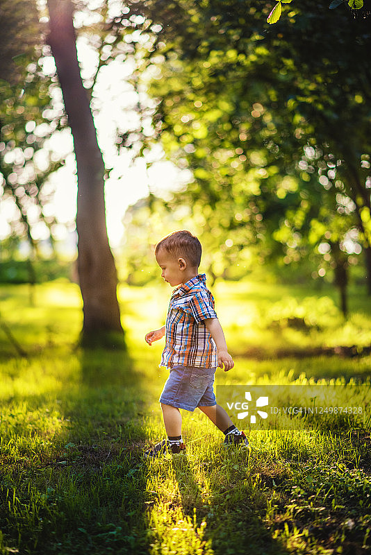 阳光明媚的日子里，蹒跚学步的男孩在森林公园里散步图片素材
