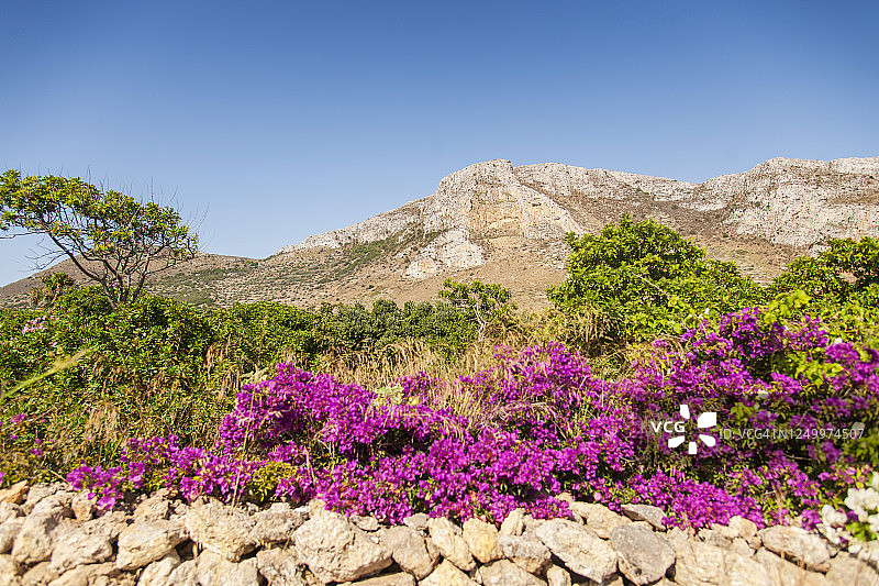 意大利西西里法维尼亚纳岛：从圣卡特琳娜堡垒俯瞰小镇图片素材