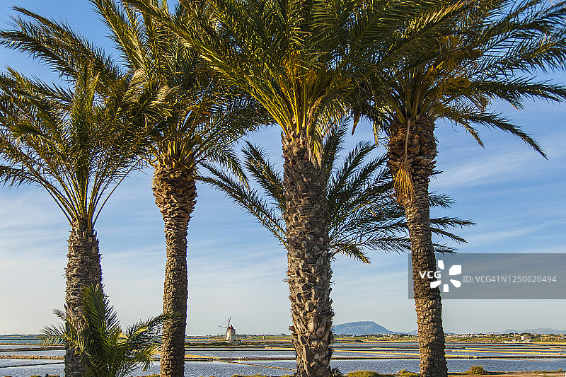 意大利西西里岛马尔萨拉盐场风车图片素材