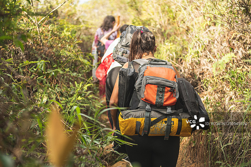 丛林中的徒步旅行者图片素材