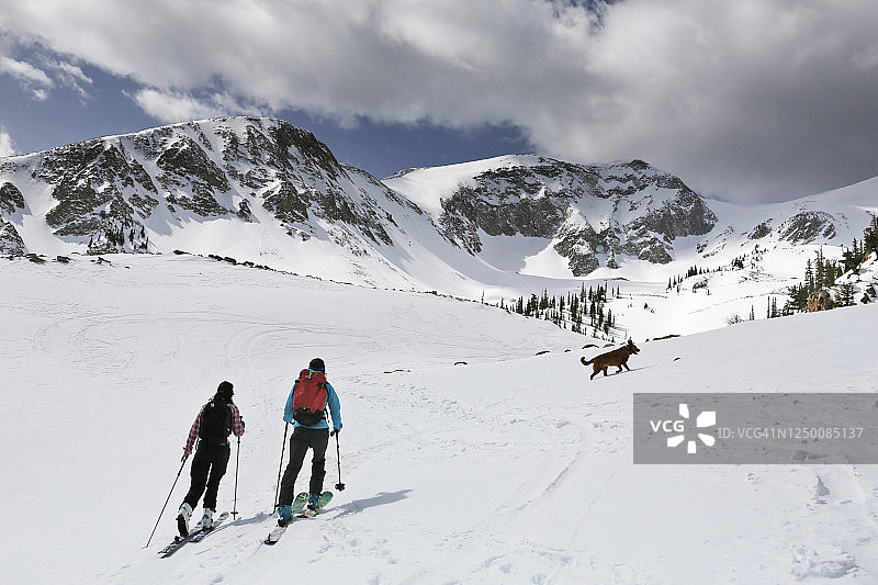 两位女士和一只狗在科罗拉多州的索普里斯山上滑雪图片素材