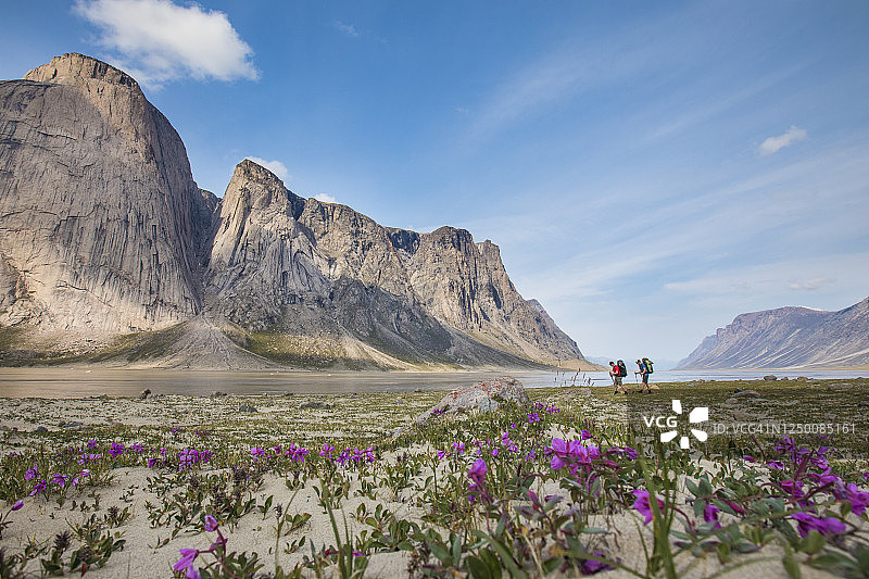 两名背包客穿越阿克夏亚克山口的北极苔原景观图片素材