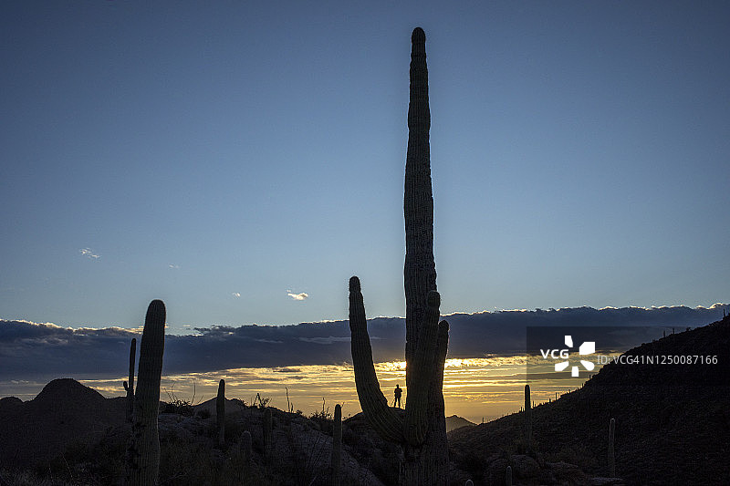 沙漠日出徒步者剪影图片素材