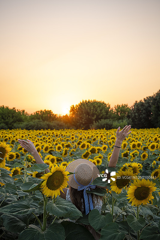 日落时分向日葵花田里的年轻女人图片素材
