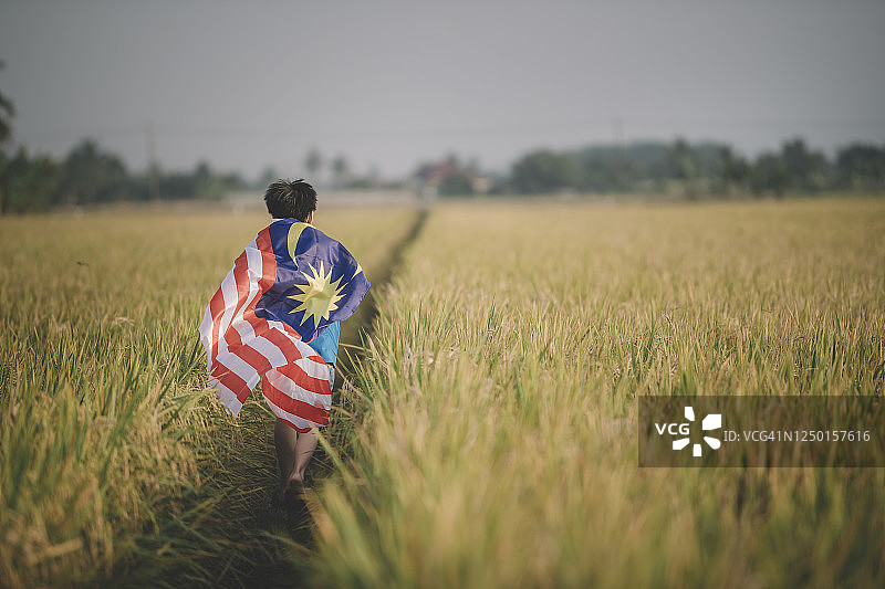 马来西亚独立日：华人男孩在稻田手持国旗，沐浴晨光，奔跑庆祝图片素材
