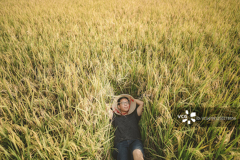 农民躺在适耕庄稻田享受丰收图片素材