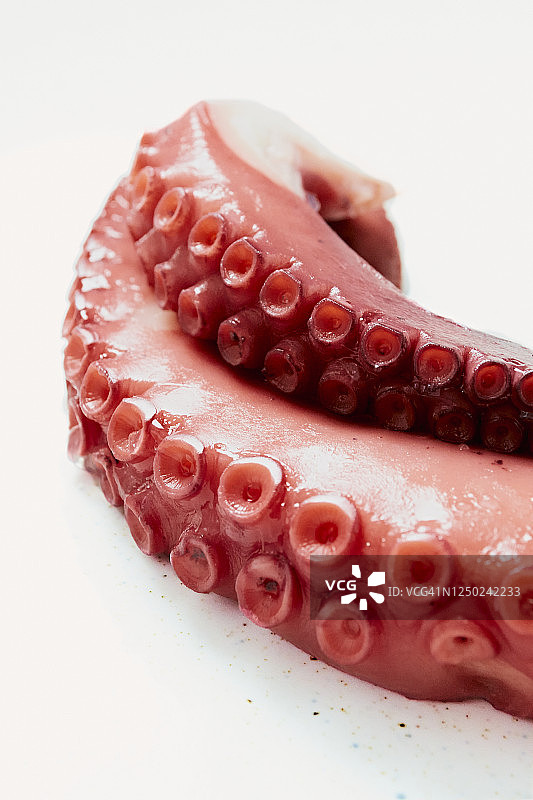 煮熟的章鱼特写图片素材