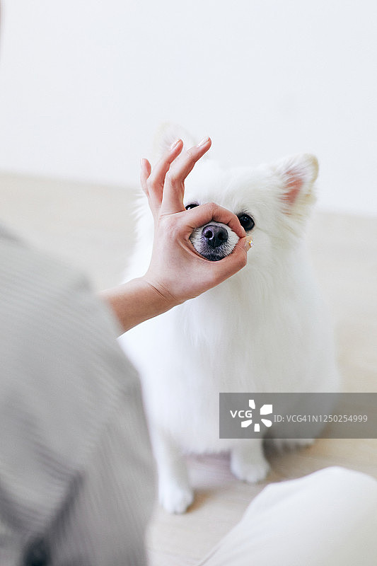 女人和小狗玩耍图片素材