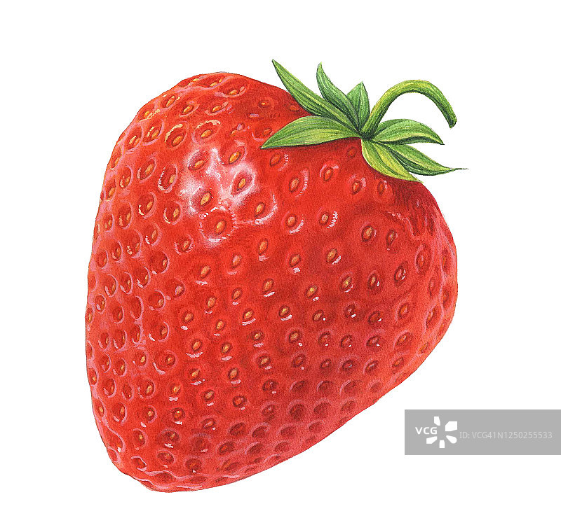 草莓插画图片素材