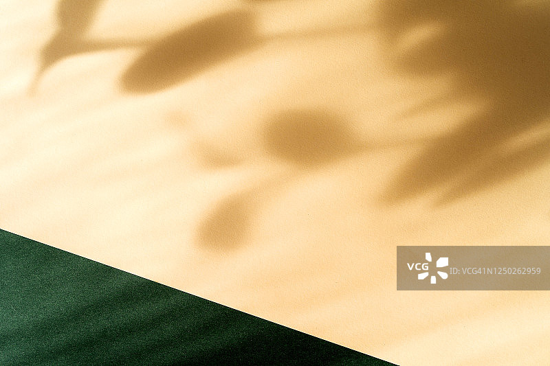 抽象纸背景，桉树枝叶阴影图片素材