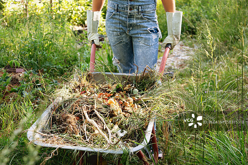 在花园堆肥的年轻西班牙裔女子图片素材