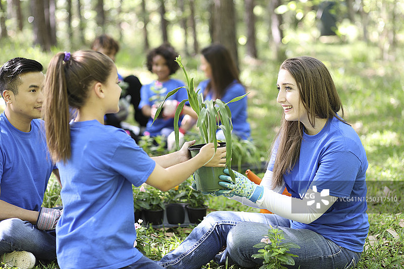 环境美化。志愿者在春季的当地公园种植花卉和植物。图片素材