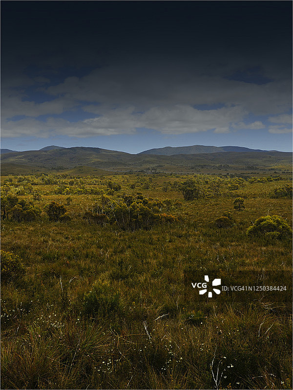 塔金荒原海岸线，位于澳大利亚塔斯马尼亚西海岸福姆溪附近图片素材