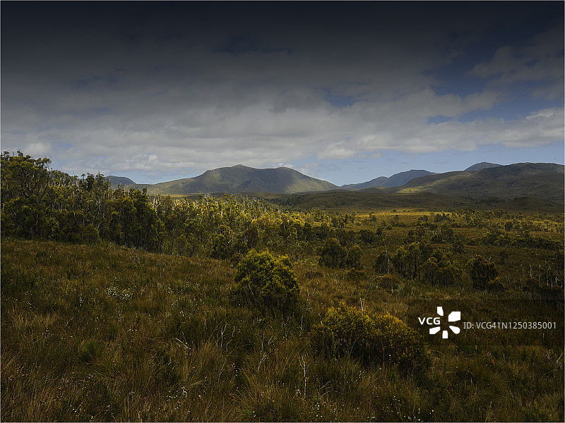 塔金荒原海岸线，位于澳大利亚塔斯马尼亚西海岸福姆溪附近图片素材
