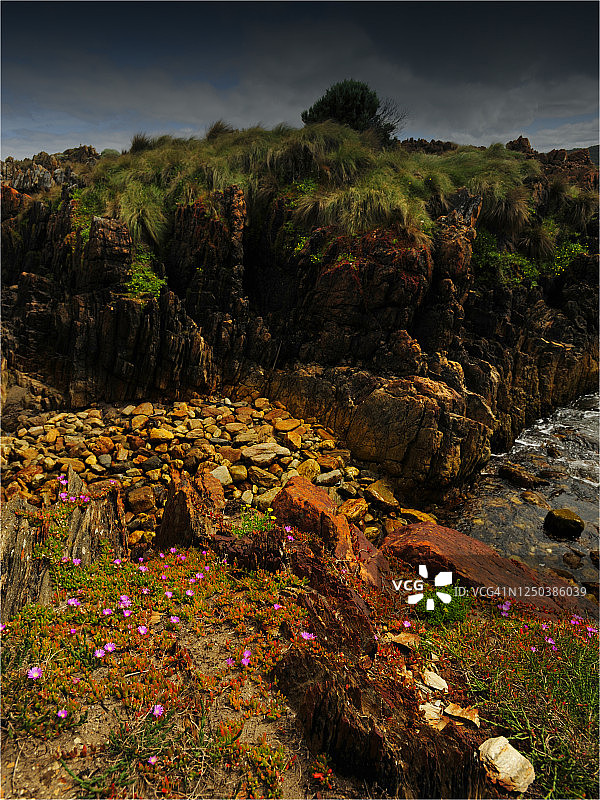 澳大利亚塔斯马尼亚西海岸泡沫溪附近的塔金荒野海岸线图片素材