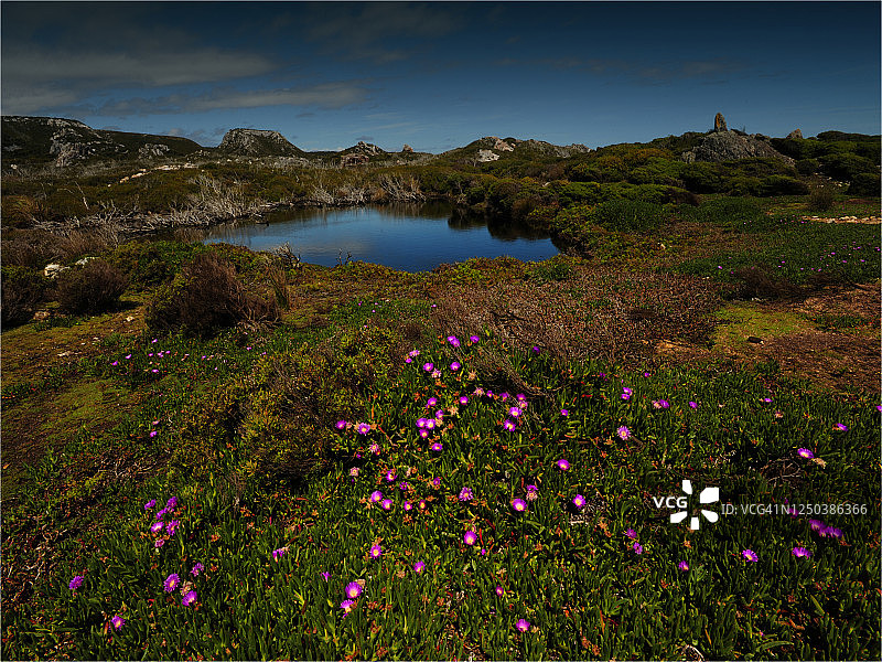 澳大利亚塔斯马尼亚西海岸泡沫溪附近的塔金荒野海岸线图片素材