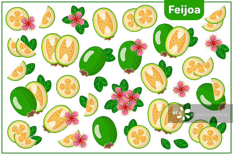 斐济果异国水果花叶卡通矢量素材图片素材