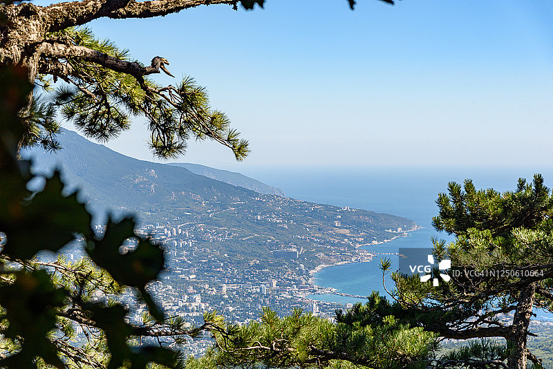 晴朗的亚尔塔度假城市景色，透过高大的树干图片素材