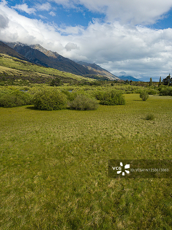 新西兰格林诺奇草甸图片素材